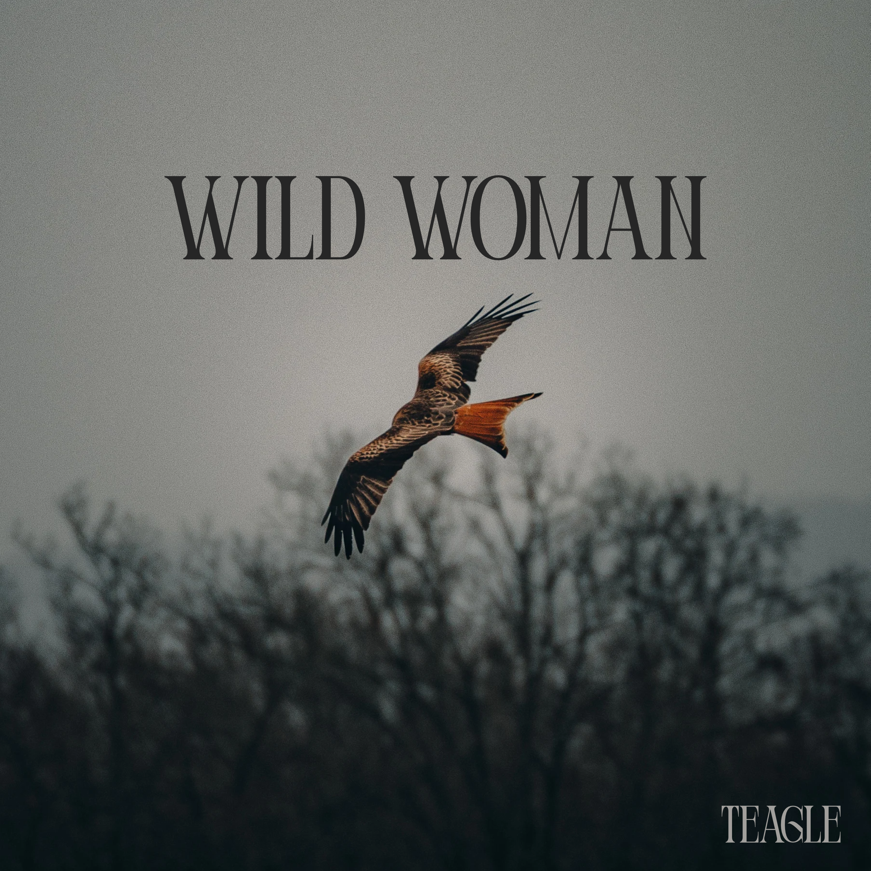 Wild Woman cover art